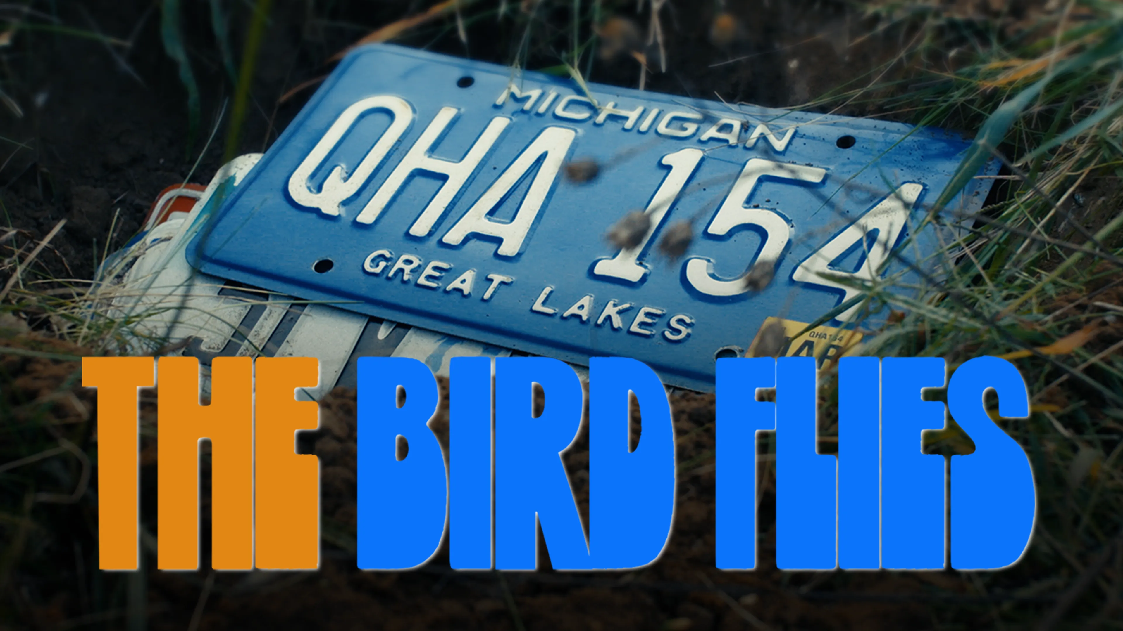 The Bird Flies poster